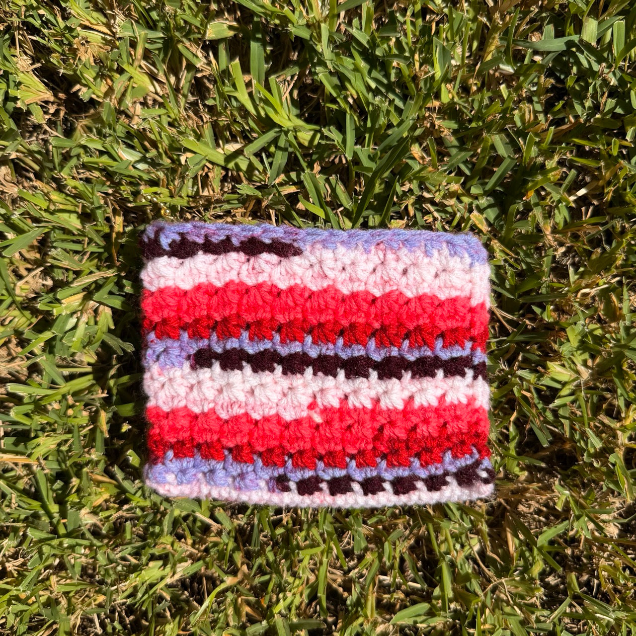 Berry Bliss Striped Crochet Zipper Pouch